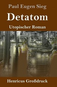 bokomslag Detatom (Großdruck)