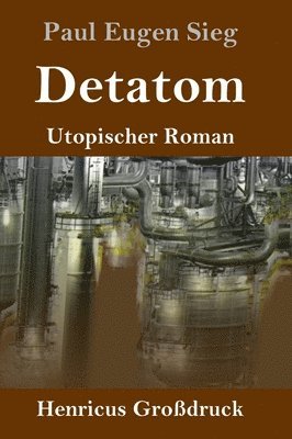 bokomslag Detatom (Großdruck)