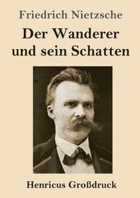 bokomslag Wanderer und sein Schatten (Großdruck)