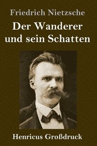 bokomslag Wanderer und sein Schatten (Großdruck)