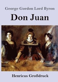 bokomslag Don Juan (Großdruck)
