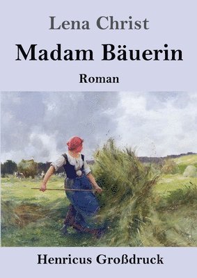 bokomslag Madam Buerin (Grodruck)