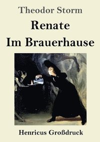 bokomslag Renate / Im Brauerhause (Grodruck)