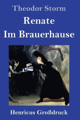 bokomslag Renate / Im Brauerhause (Großdruck)