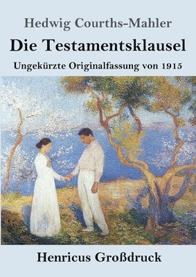 bokomslag Testamentsklausel (Großdruck)