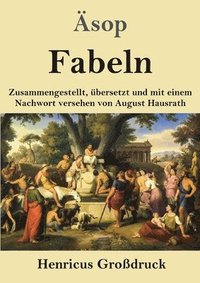 bokomslag Fabeln (Großdruck)
