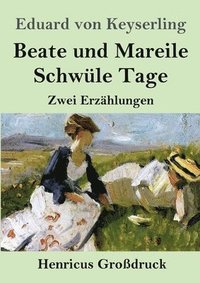 bokomslag Beate und Mareile / Schwule Tage (Grossdruck)