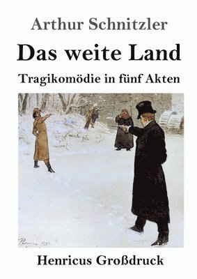 bokomslag Das weite Land (Grodruck)