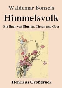 bokomslag Himmelsvolk (Großdruck)
