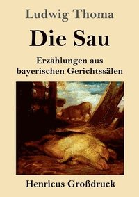 bokomslag Sau (Großdruck)
