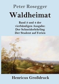 bokomslag Waldheimat (Grossdruck)