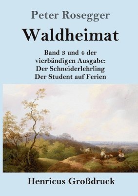 bokomslag Waldheimat (Grodruck)