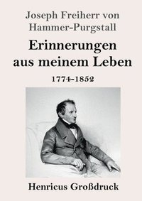 bokomslag Erinnerungen aus meinem Leben (Großdruck)