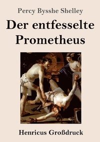 bokomslag Der entfesselte Prometheus (Grossdruck)