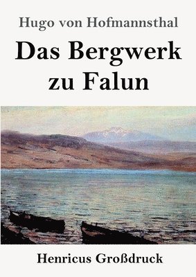 bokomslag Das Bergwerk zu Falun (Grossdruck)