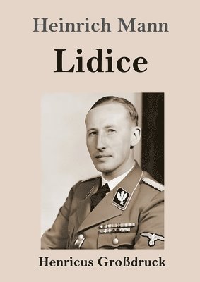 bokomslag Lidice (Großdruck)