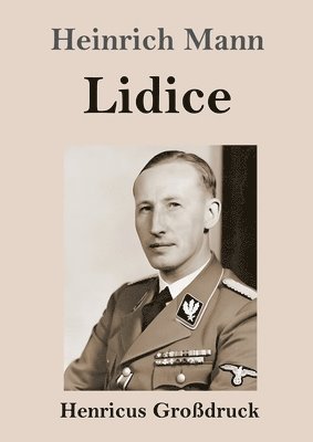 bokomslag Lidice (Grodruck)