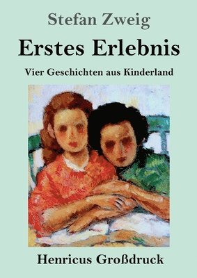 bokomslag Erstes Erlebnis (Grodruck)