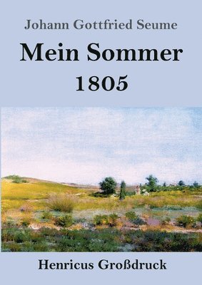 bokomslag Mein Sommer 1805 (Großdruck)