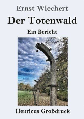 bokomslag Der Totenwald (Grodruck)