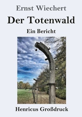 bokomslag Der Totenwald (Grossdruck)
