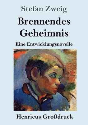 bokomslag Brennendes Geheimnis (Großdruck)