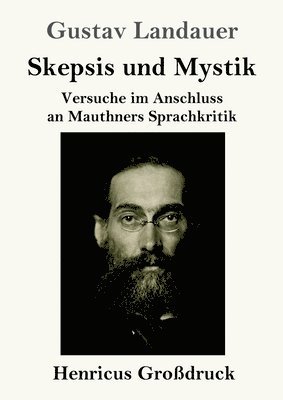 bokomslag Skepsis und Mystik (Grodruck)