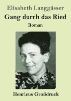 bokomslag Gang durch das Ried (Großdruck)
