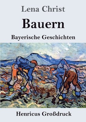 bokomslag Bauern (Großdruck)