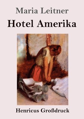 Maria Leitner - Hotel Amerika (Großdruck), Häftad