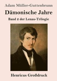 bokomslag Dämonische Jahre (Großdruck)