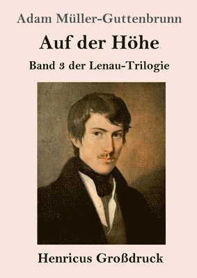 bokomslag Auf der Höhe (Großdruck): Band 3 der Lenau-Trilogie