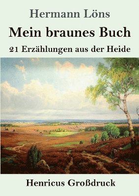 bokomslag Mein braunes Buch (Grodruck)