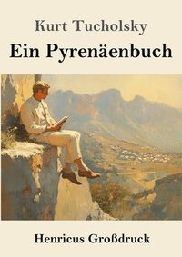 bokomslag Pyrenäenbuch (Großdruck)