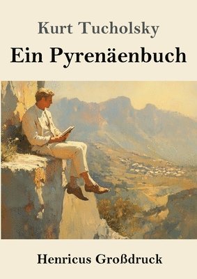 bokomslag Pyrenäenbuch (Großdruck)