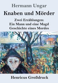 bokomslag Knaben und Mörder (Großdruck): Zwei Erzählungen: Ein Mann und eine Magd. Geschichte eines Mordes.