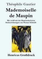 Théophile Gautier - Mademoiselle de Maupin (Großdruck), Häftad