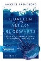 bokomslag Quallen altern rückwärts