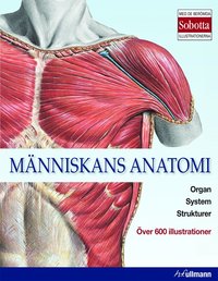 bokomslag Människans anatomi