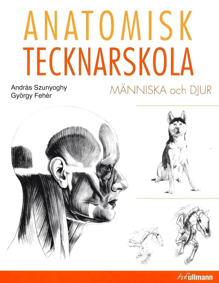 Anatomisk tecknarskola : människa och djur 1