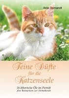 bokomslag Feine Düfte für die Katzenseele