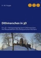 bokomslag Dithmarschen in 3D