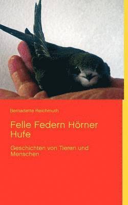 Felle Federn Hörner Hufe