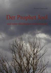 bokomslag Der Prophet Joel