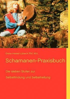 bokomslag Schamanen-Praxisbuch