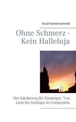 Knud Hammerschmidt - Ohne Schmerz - Kein Halleluja, Häftad