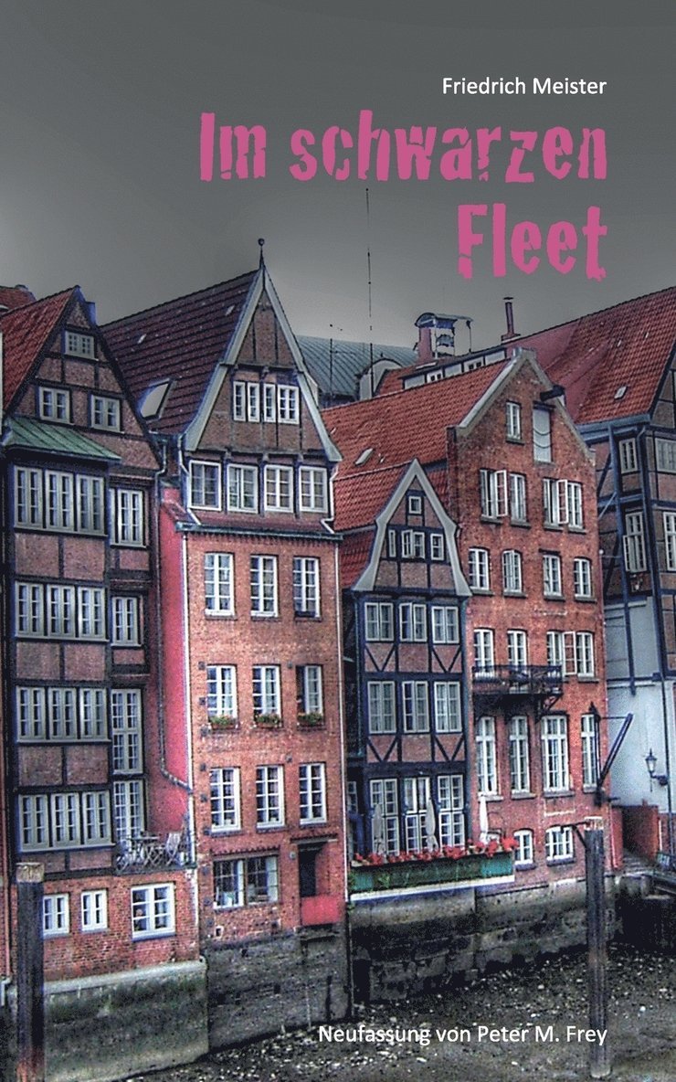 Friedrich Meister - Im schwarzen Fleet, Häftad