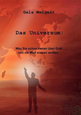 bokomslag Das Universum