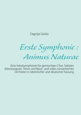 bokomslag Erste Symphonie