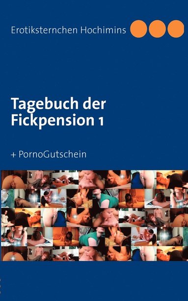 bokomslag Tagebuch der Fickpension 1